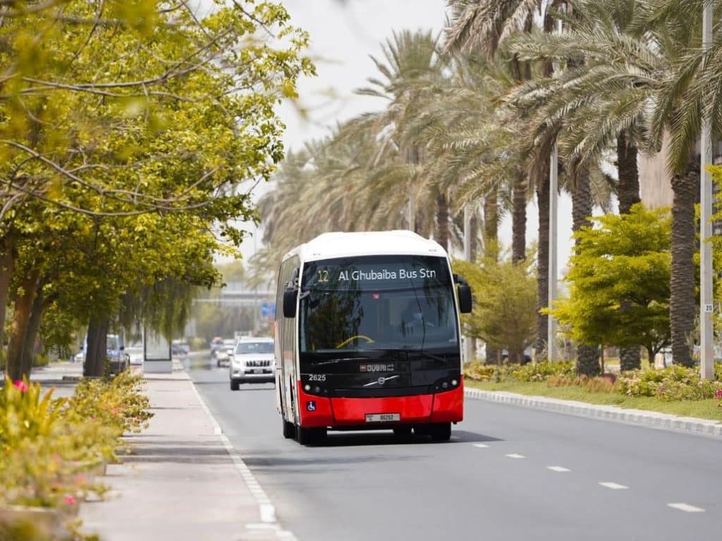Carlift to Jebel Ali Freezone